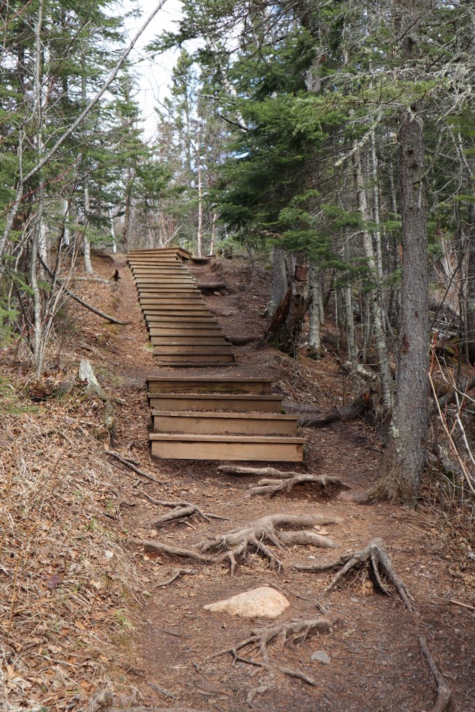 Steps on the Cascade River trail.